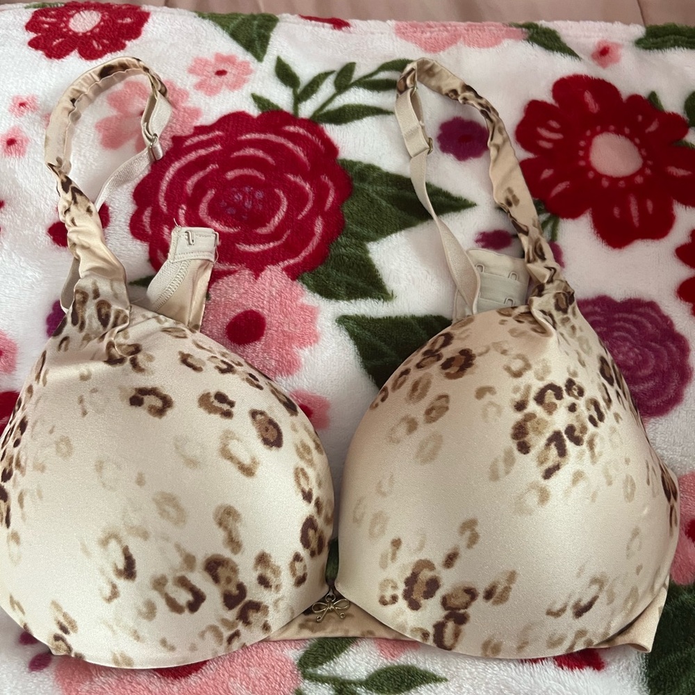 Victoria's Secret Plunge